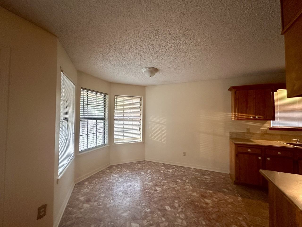 928 Verone Ter #1 - Photo 4 of 15