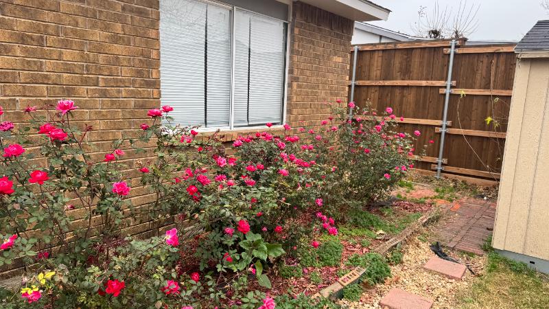 230 Green Canyon Dr - Photo 6 of 16