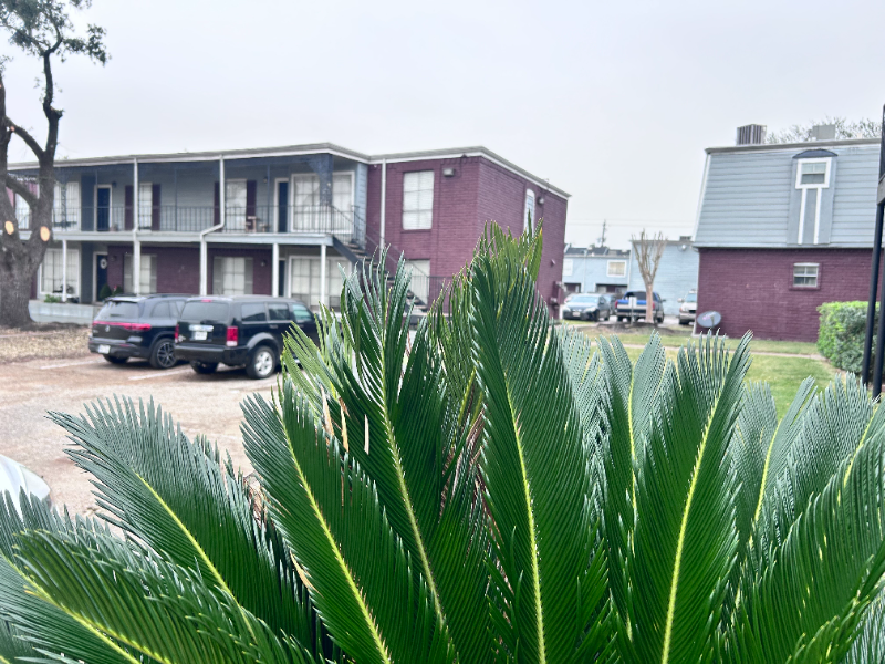 2300 Red Bluff Rd #131 - Photo 2 of 12