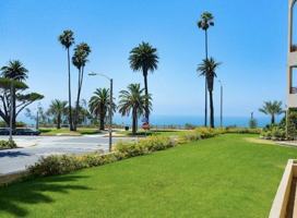 featured image of 311 Ocean Ave