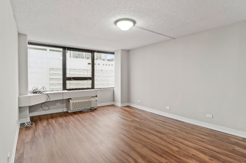 1215 S Michigan Ave - Photo 5 of 17