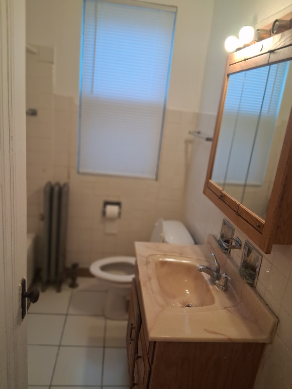 8028 S Jeffery Blvd #2ndFL - Photo 7 of 10