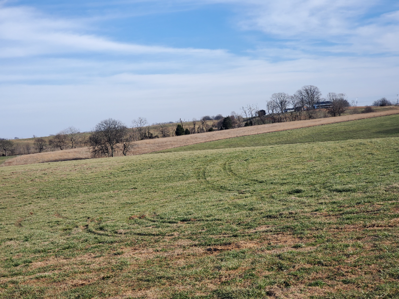 4823 Drake Rd - Photo 6 of 16