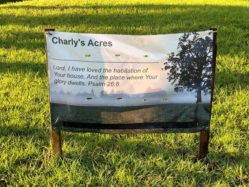 4320 30th Ave Se - Photo 4 of 18