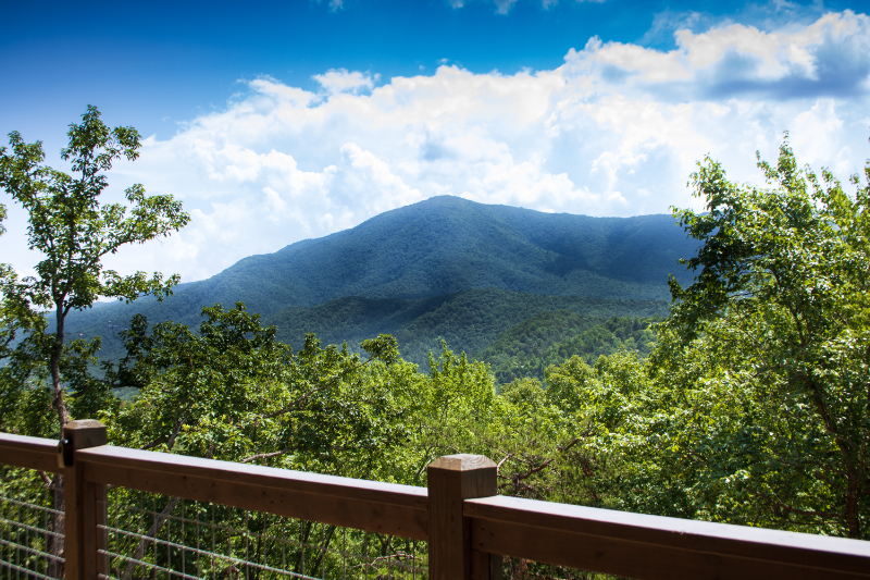 4227 Round Top Way - Photo 3 of 18