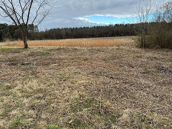 790 Huntersville Denmark Rd - Photo 3 of 7