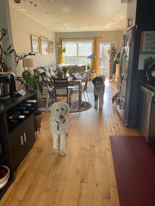 527 Titan St - Photo 4 of 19