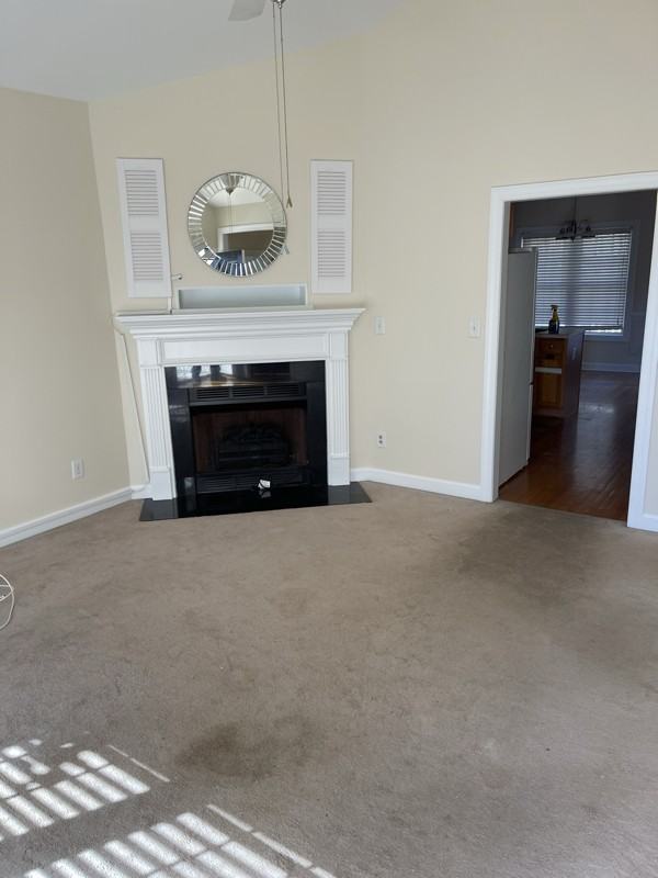 1029 Caladium Dr - Photo 7 of 8