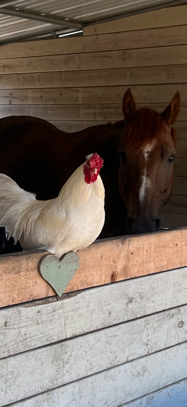 21200 Westside Hwy Sw #EGG - Photo 5 of 8