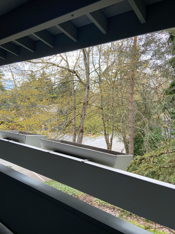 9470 Redmond Woodinville Rd Ne #C218 - Photo 6 of 15