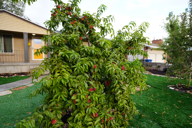 4284 S Normandie Ln - Photo 6 of 18