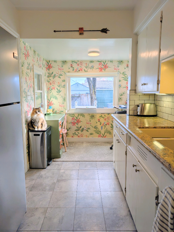 4914 N Cedar St - Photo 7 of 16