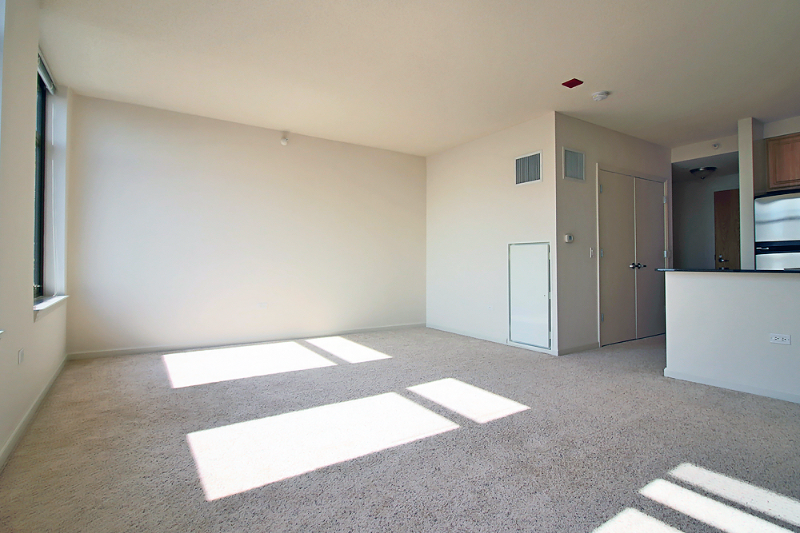 377 N Desplaines St - Photo 5 of 12