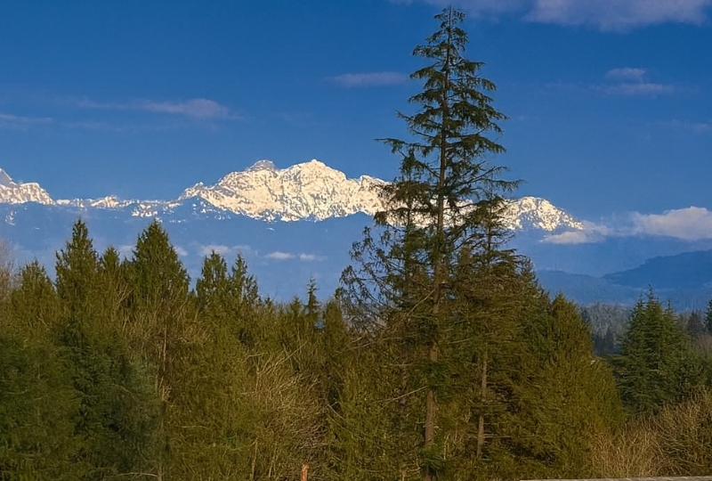 10103 16th Pl Se #1 - Photo 2 of 20