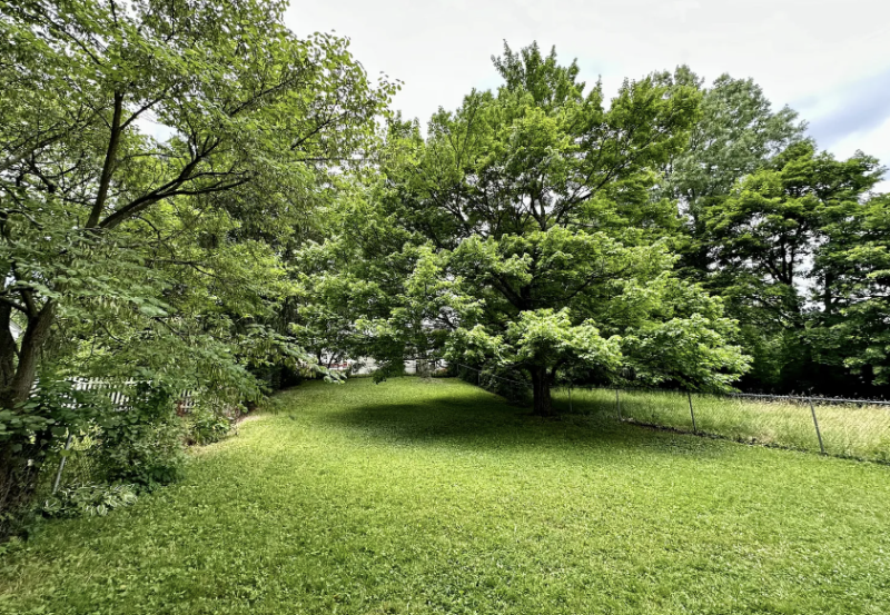 71 Rowland Ave - Photo 5 of 12