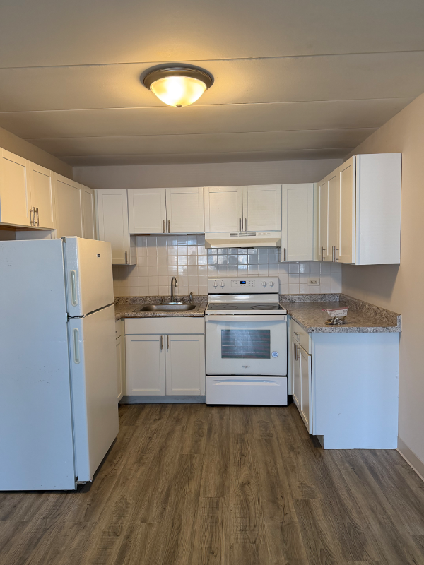 29W543 Batavia Rd #1 - Photo 5 of 7