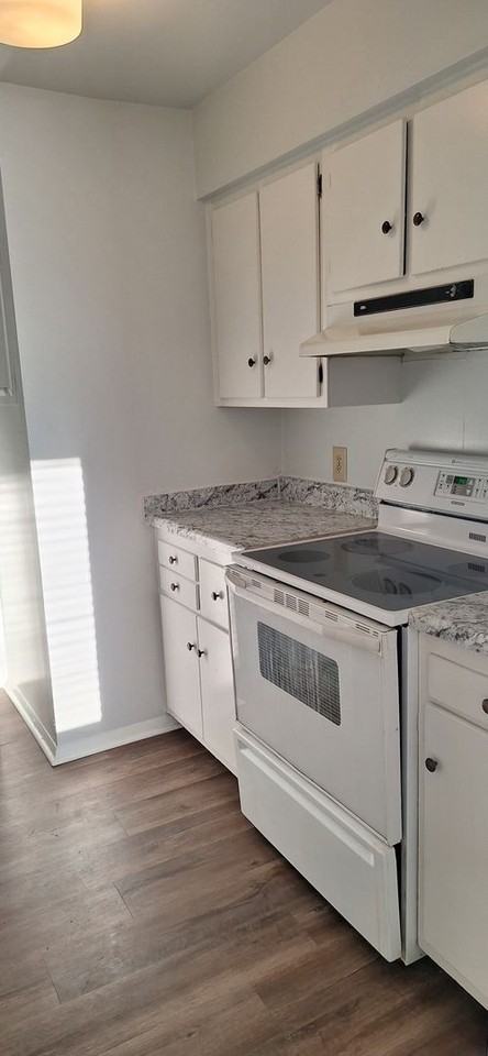 1263 Schaub Dr - Photo 4 of 11