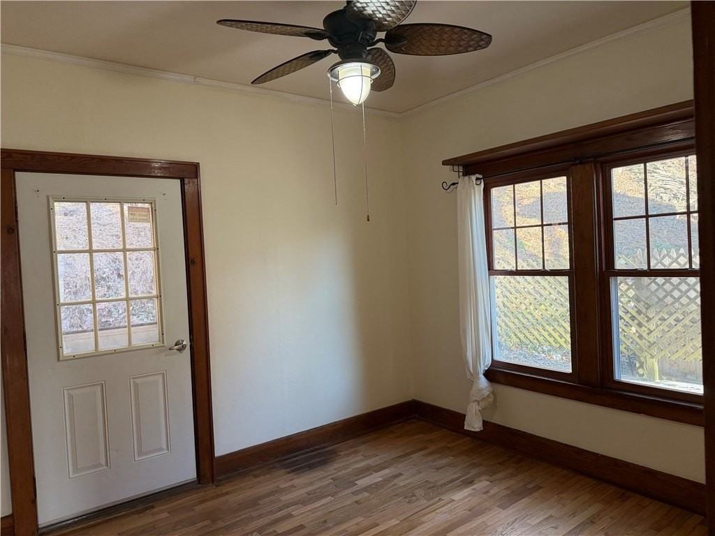 6 Thorn St - Photo 7 of 18