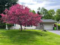 Forest Rd - Photo 1 of 1