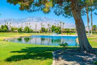 28859 Desert Princess Dr - Photo 1 of 1