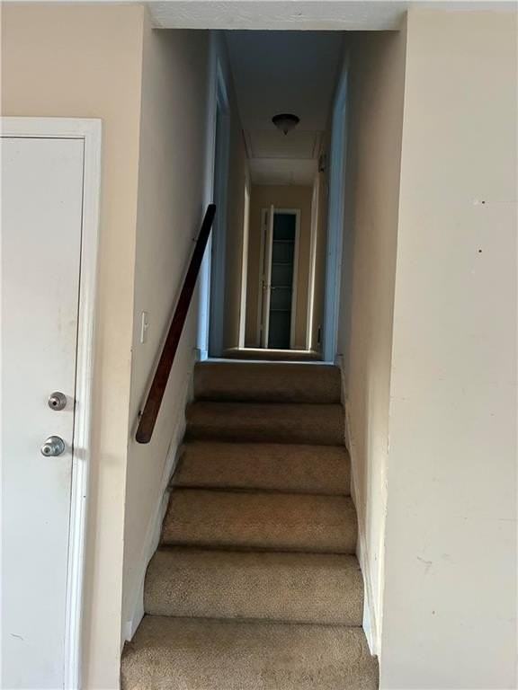 3253 Deshong Dr - Photo 7 of 12