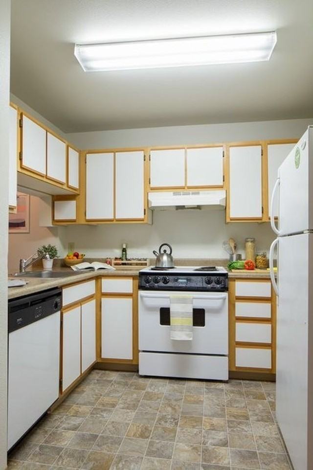 hor310 - Photo 4 of 50