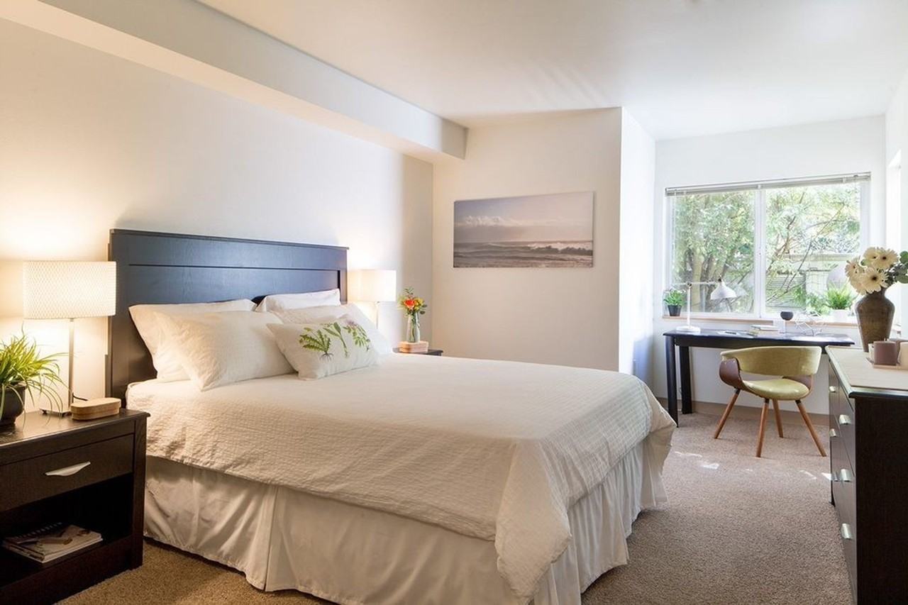 hor310 - Photo 5 of 50