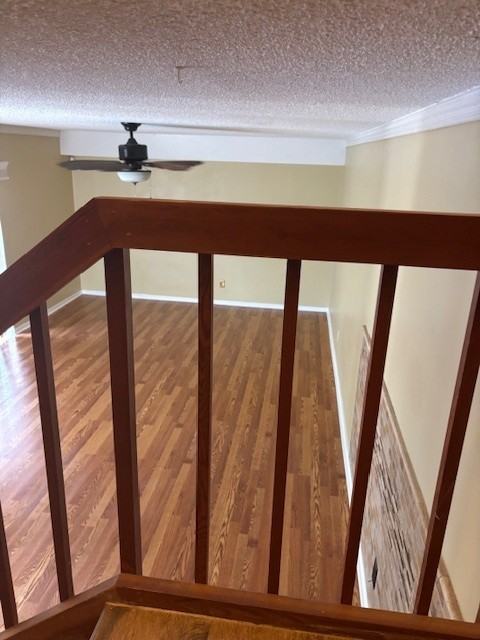 Royal Dr - Photo 6 of 12