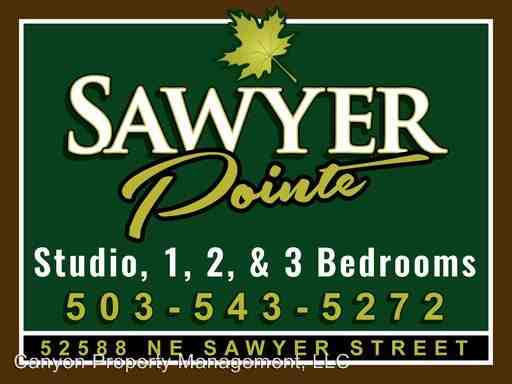 Sawyer Pointe 52588 NE Sawyer - Photo 3 of 39