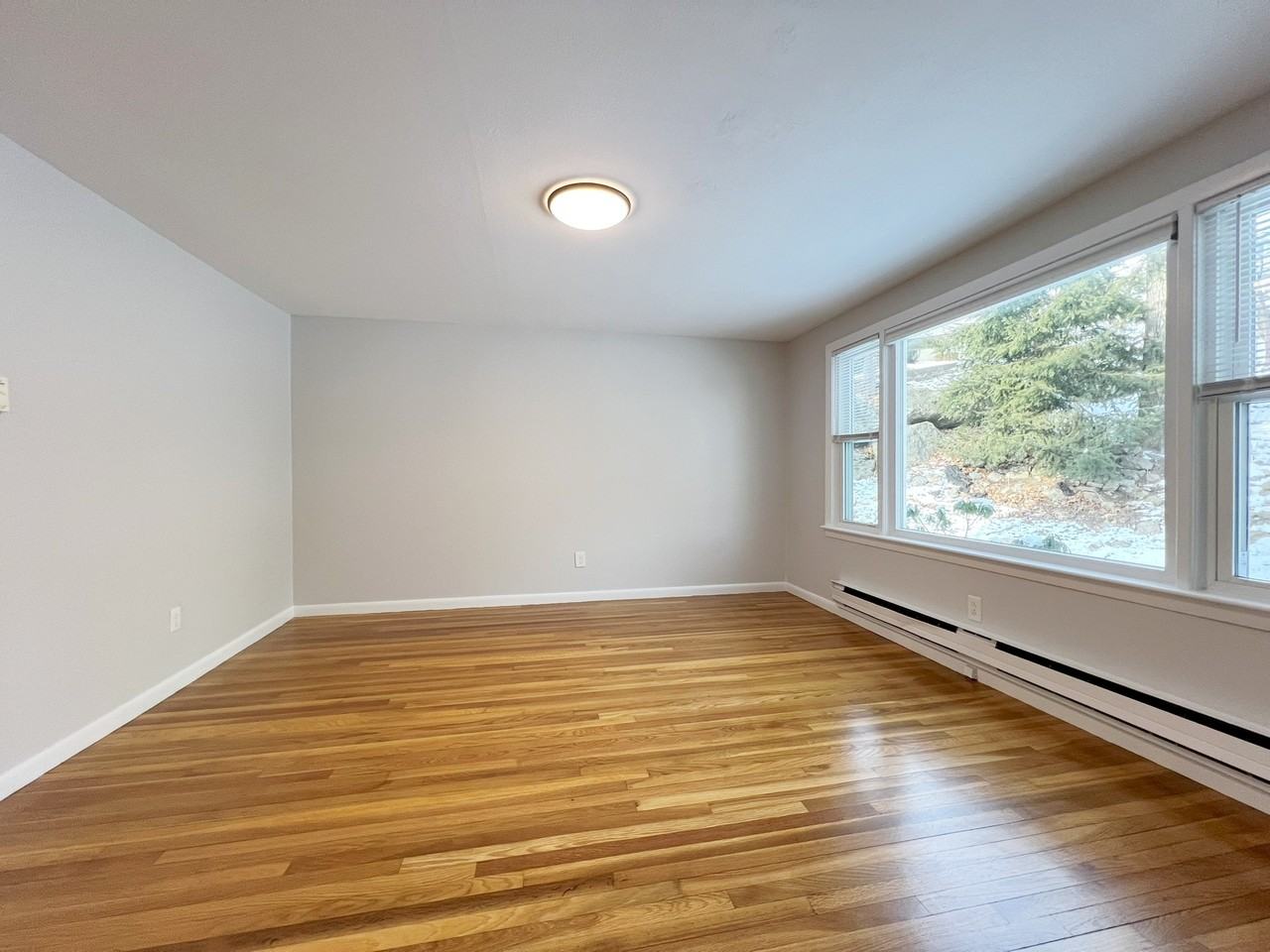 28 Kiernan Rd #28 - Photo 7 of 13