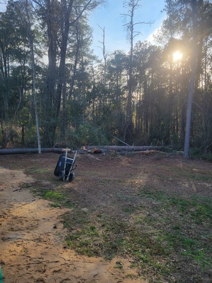 8106 5th St #NA - Photo 2 of 21