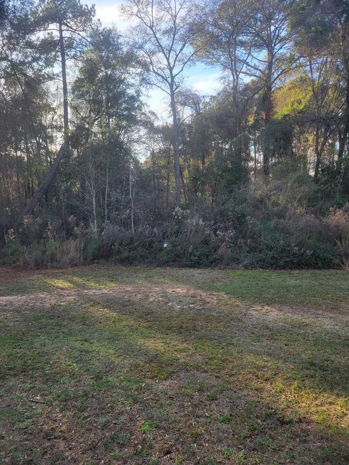 8106 5th St #NA - Photo 3 of 21