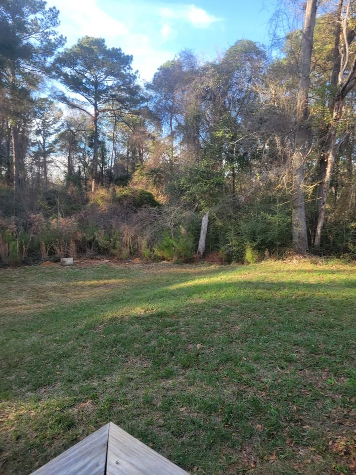 8106 5th St #NA - Photo 5 of 21