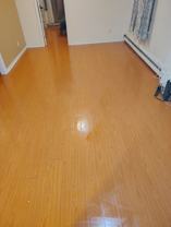 123 Senator St #NA - Photo 1 of 1