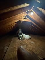 61 Tracey St #2 - Photo 1 of 1