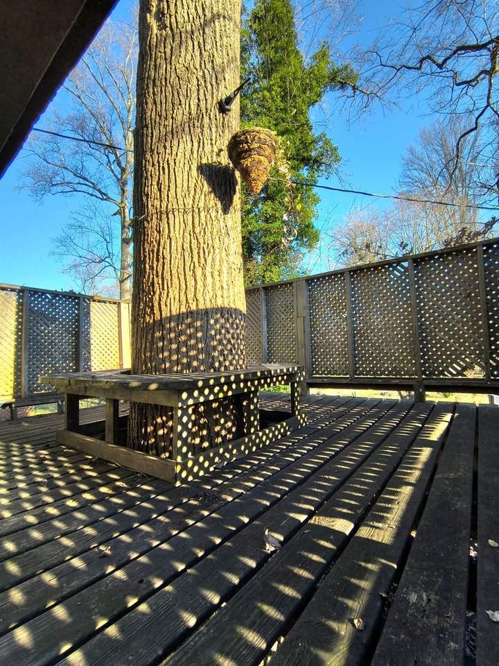 148 W Wadsworth Cir - Photo 2 of 10