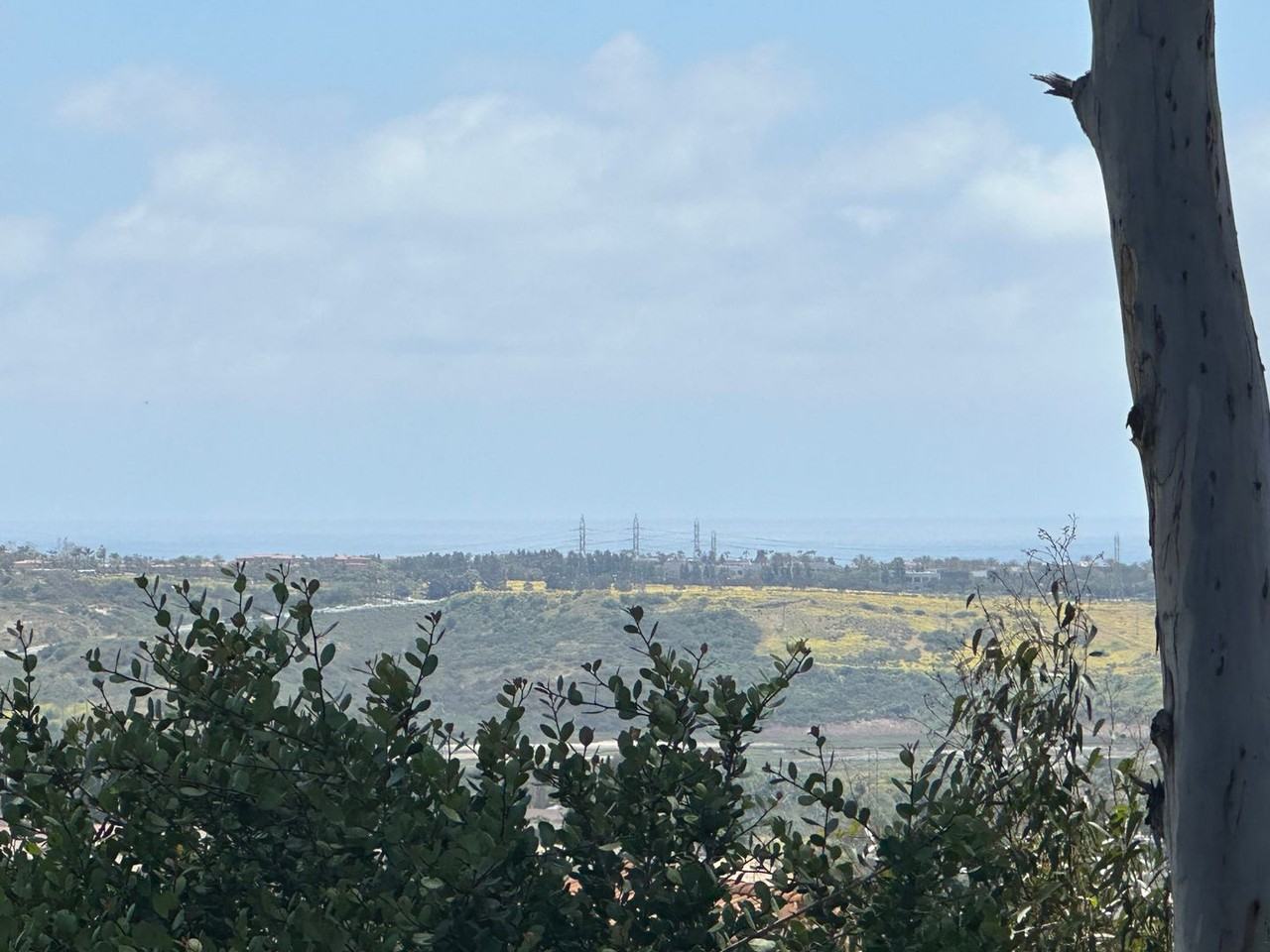 4378 Tuolumne Pl - Photo 2 of 8