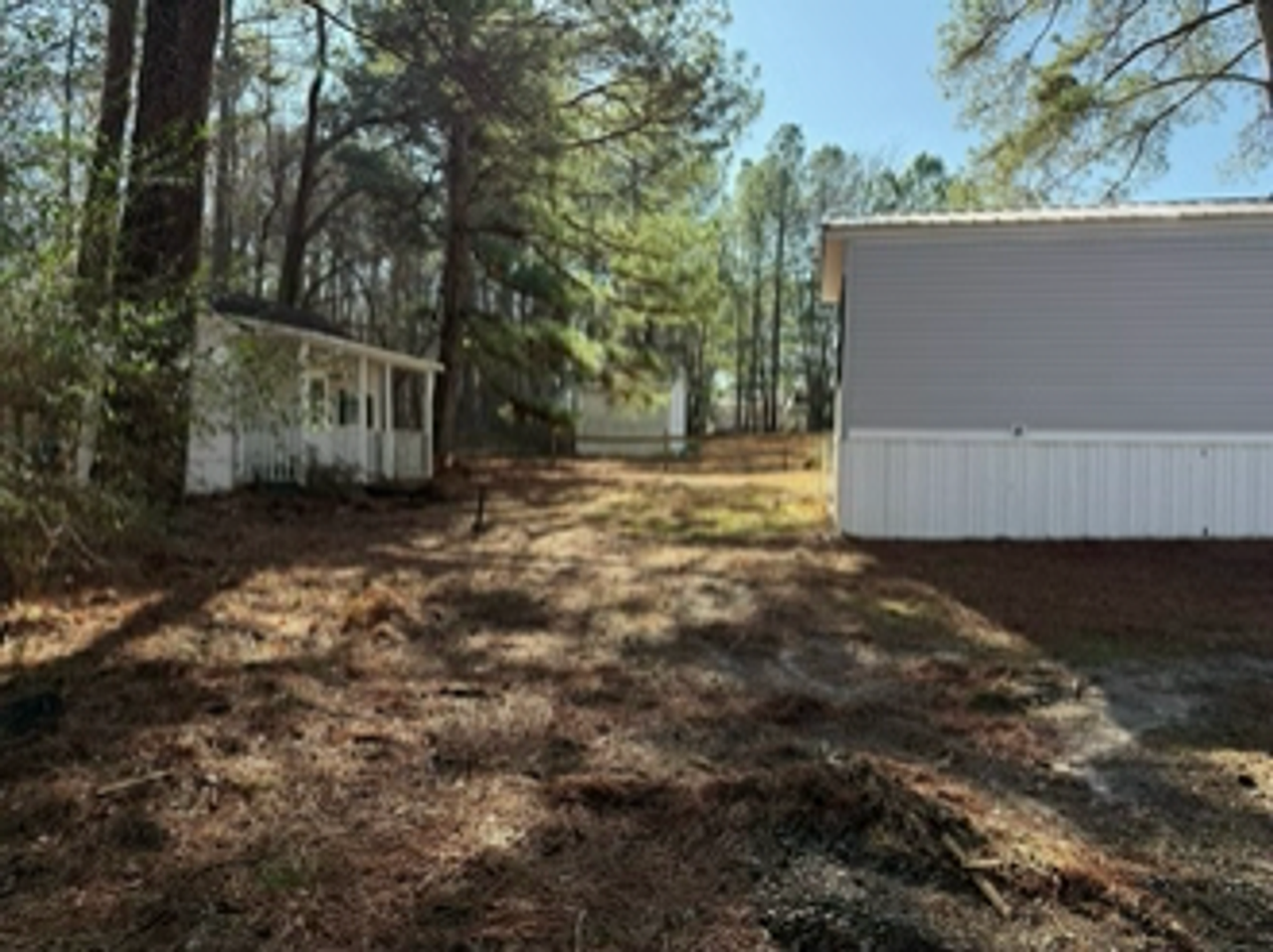 96 Arthur Lucius Ln - Photo 4 of 21