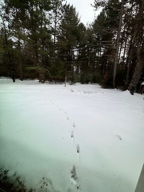 8770 Brunswick Rd #1 - Photo 2 of 9