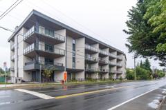 Norma - Photo 1 of 1