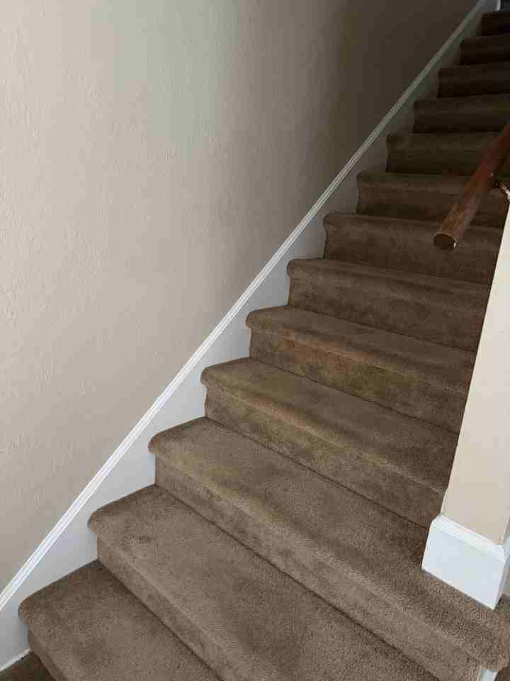 3022 Letchworth Pkwy #3020RIGHT - Photo 5 of 14