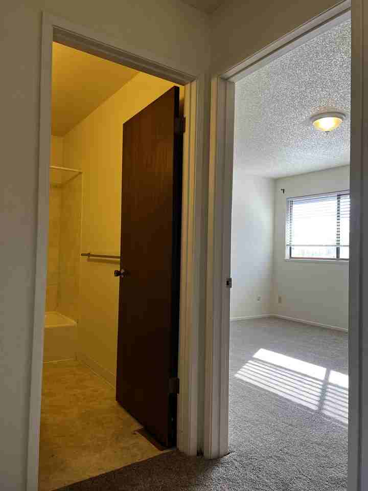 2214 Myrtle Ave #G - Photo 7 of 15