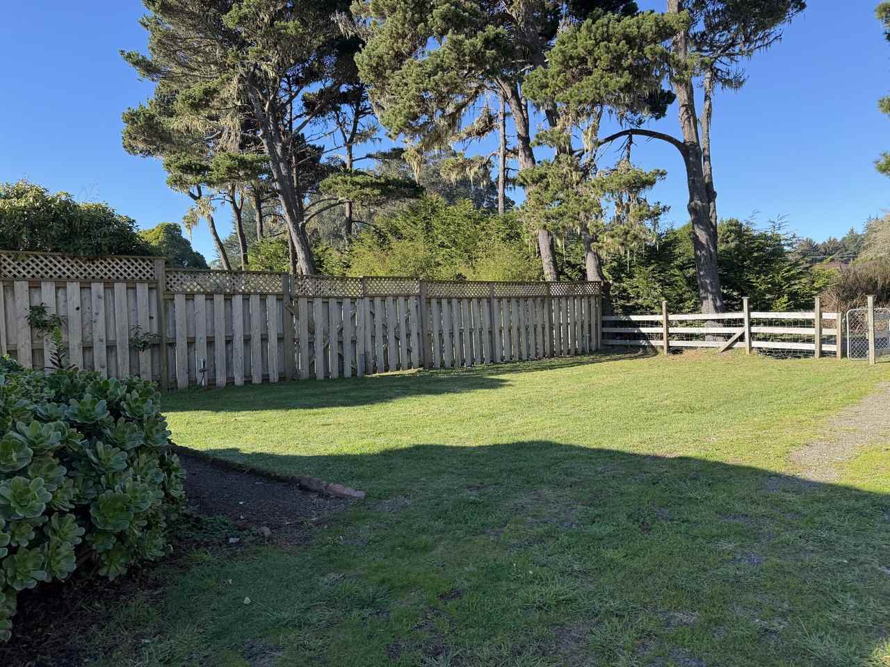 769 1/2 Stagecoach Rd #1UNIT - Photo 2 of 19