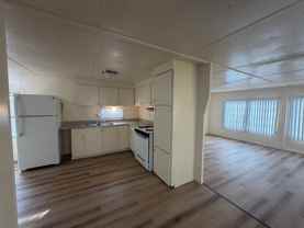 Thunderbird - Photo 1 of 1