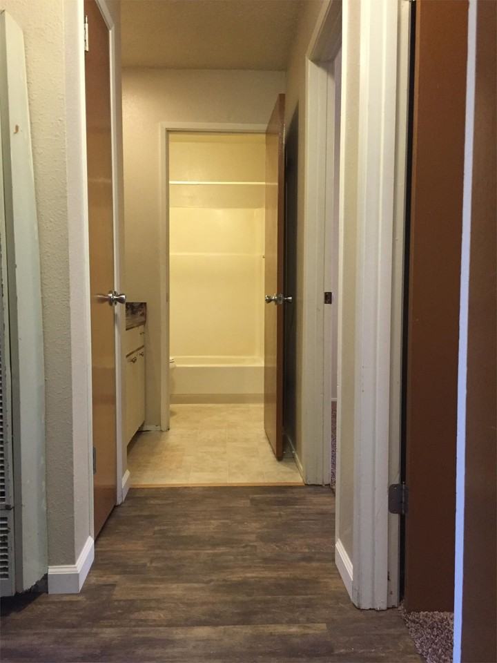 346 Hickory St #3 - Photo 4 of 16