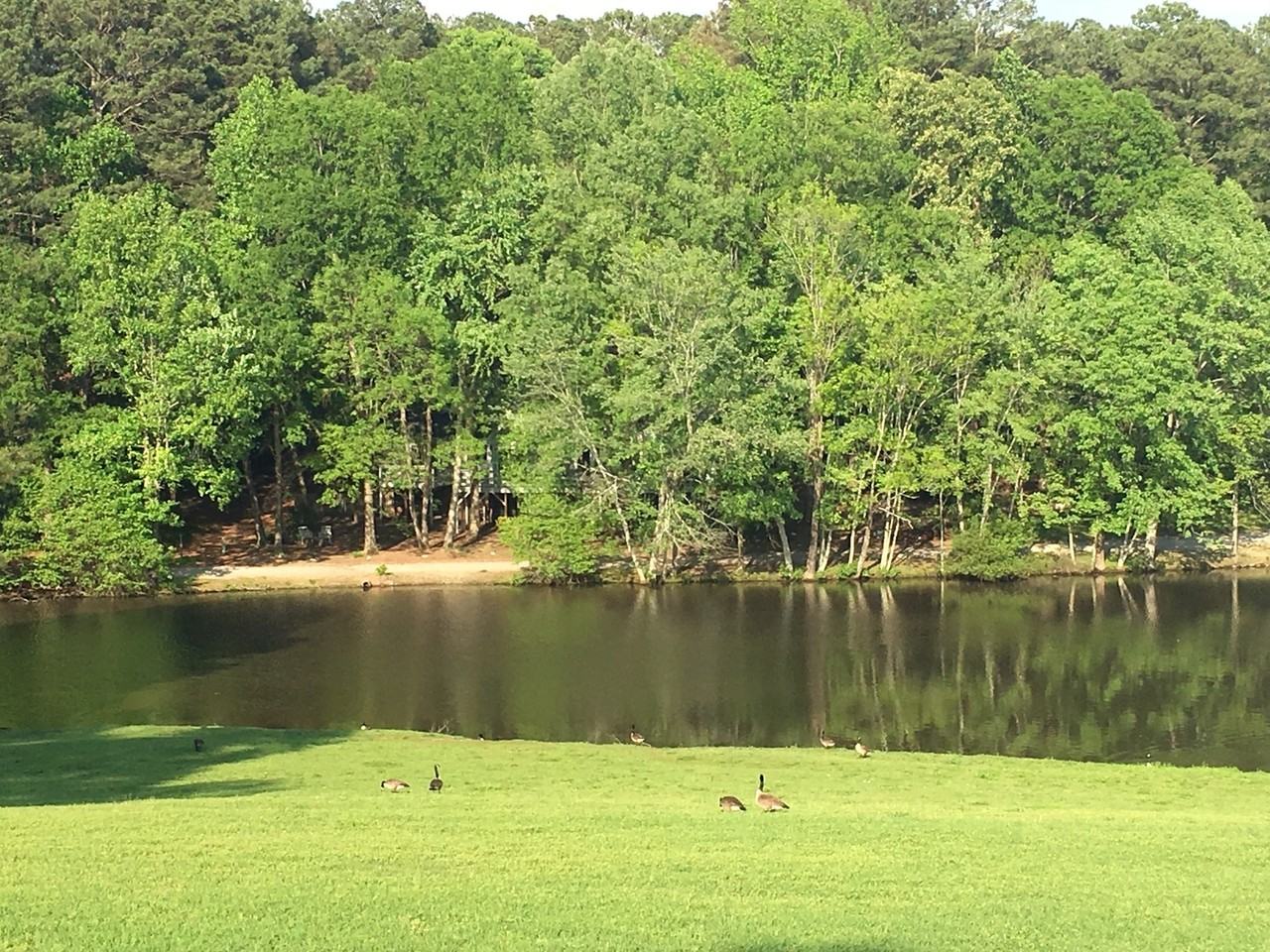 224 Hanover Pl - Photo 2 of 19