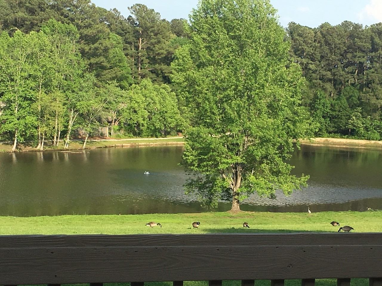 224 Hanover Pl - Photo 4 of 19