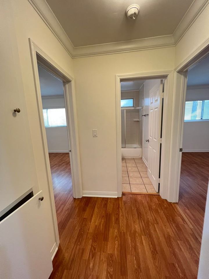 vin337 - Photo 5 of 18