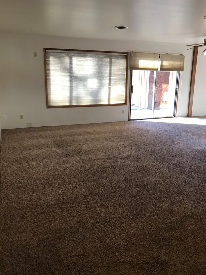 205 Daley Dr - Photo 4 of 19