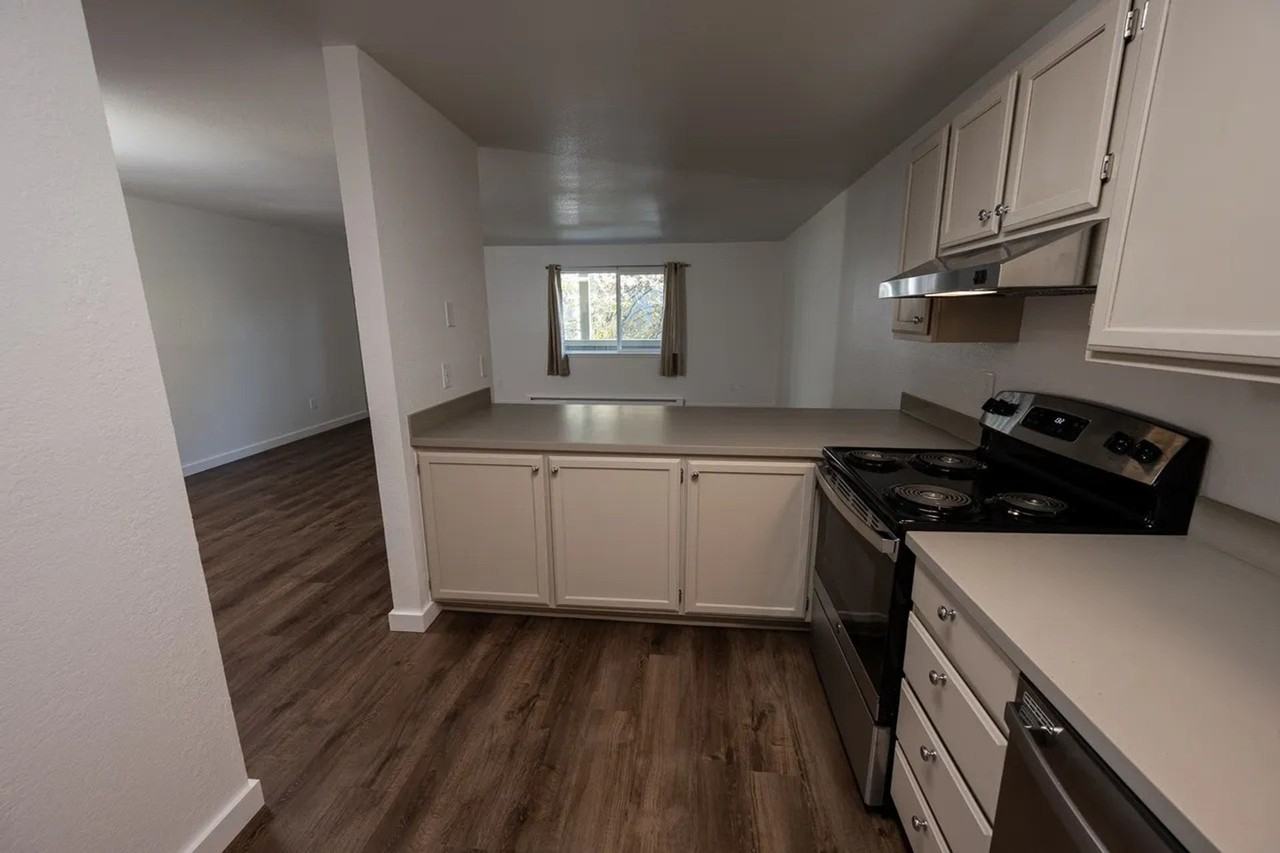 Beautifully Renovated Apartment Home Walking Distance to Downtown - Photo 3 of 17